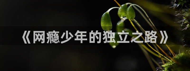 香蕉漫画免费阅读答案